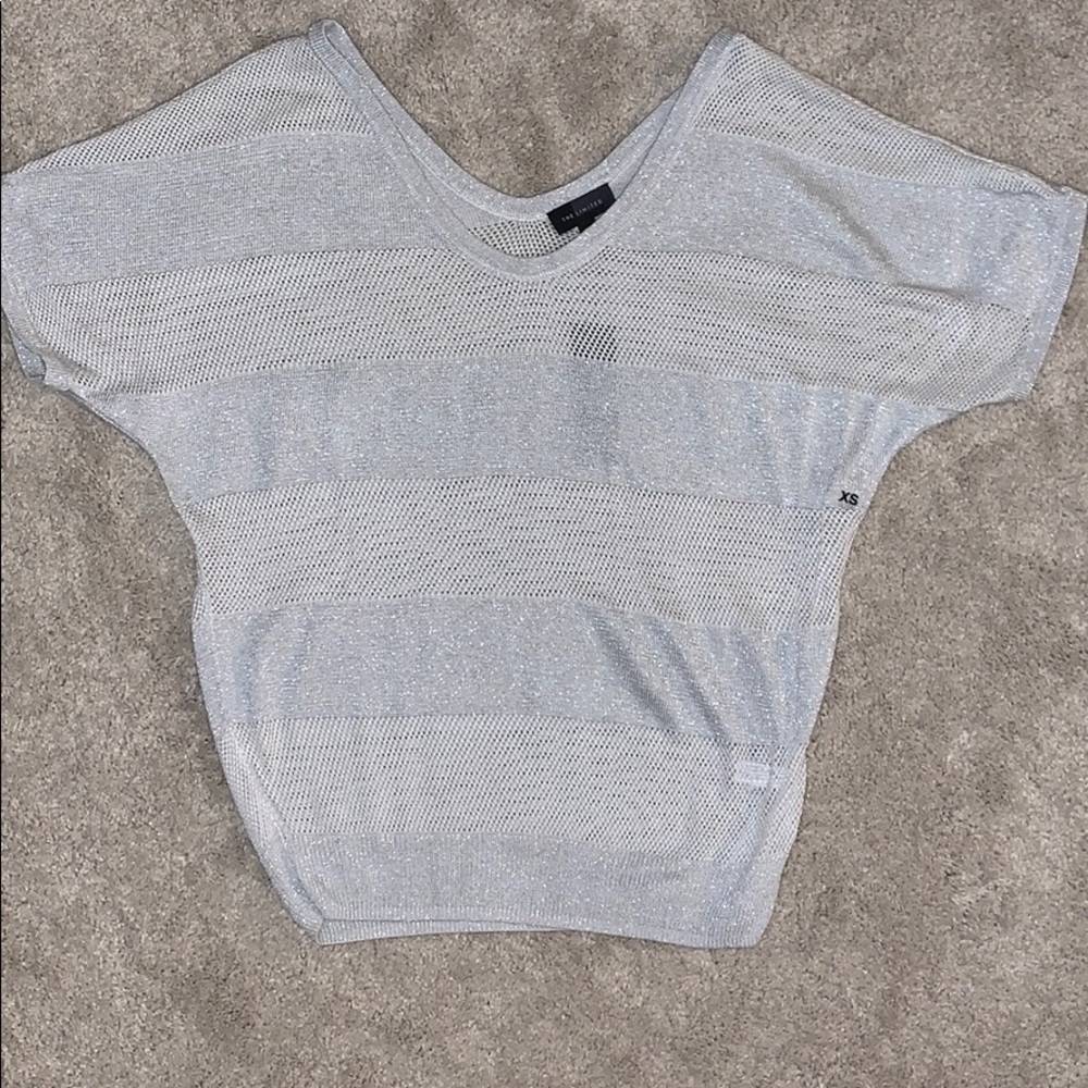 Limited Silver Short Sleeve Sweater